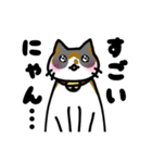 おうちねこトリオ（個別スタンプ：33）