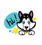 VEGAS The Husky（個別スタンプ：1）