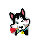 VEGAS The Husky（個別スタンプ：11）