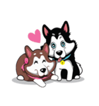 VEGAS The Husky（個別スタンプ：37）