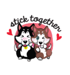 VEGAS The Husky（個別スタンプ：38）