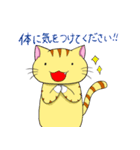 にゃんにゃんずその3（個別スタンプ：1）