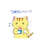 にゃんにゃんずその3（個別スタンプ：11）