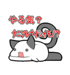 たるみねこ（個別スタンプ：22）