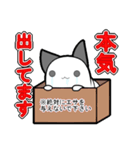 たるみねこ（個別スタンプ：23）