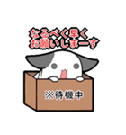 たるみねこ（個別スタンプ：24）