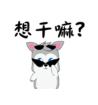 Cool-Dog（個別スタンプ：6）