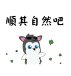 Cool-Dog（個別スタンプ：27）