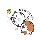 BALL CATS（個別スタンプ：24）