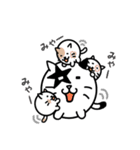 BALL CATS（個別スタンプ：34）