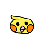 Cockatil,s daily（個別スタンプ：11）