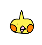 Cockatil,s daily（個別スタンプ：12）