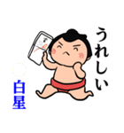 毎日相撲（個別スタンプ：9）