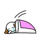 泣いてるわん子（個別スタンプ：36）