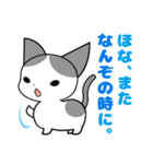 おもち先輩。（個別スタンプ：5）