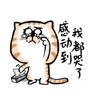 Small bad cat（個別スタンプ：6）