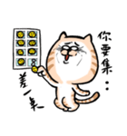 Small bad cat（個別スタンプ：14）