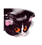 Shiny cat Koume（個別スタンプ：10）