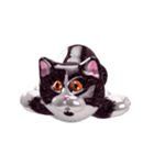 Shiny cat Koume（個別スタンプ：17）