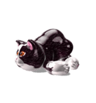 Shiny cat Koume（個別スタンプ：18）