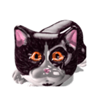 Shiny cat Koume（個別スタンプ：19）