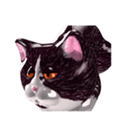 Shiny cat Koume（個別スタンプ：20）