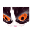 Shiny cat Koume（個別スタンプ：23）