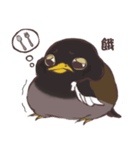 Proud Starling（個別スタンプ：22）