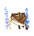 魚好きのfish科目（個別スタンプ：1）