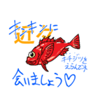 魚好きのfish科目（個別スタンプ：8）