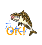 魚好きのfish科目（個別スタンプ：16）