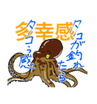 魚好きのfish科目（個別スタンプ：19）