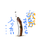 魚好きのfish科目（個別スタンプ：20）