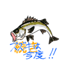 魚好きのfish科目（個別スタンプ：21）