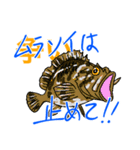 魚好きのfish科目（個別スタンプ：25）