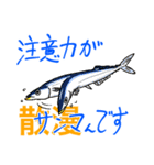 魚好きのfish科目（個別スタンプ：31）