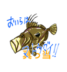 魚好きのfish科目（個別スタンプ：32）