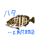 魚好きのfish科目（個別スタンプ：36）