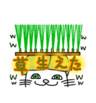 ブスねこミュージカル第二幕（個別スタンプ：1）