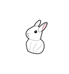 野菜ウサギ（個別スタンプ：11）