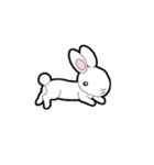 野菜ウサギ（個別スタンプ：16）