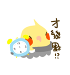 Hate parrot - DoDo（個別スタンプ：27）