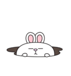Honey Bunny Rabbit（個別スタンプ：39）