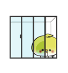 アイスオカメインコ（個別スタンプ：1）