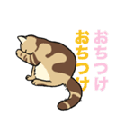 我が家のにゃんこたち。（個別スタンプ：33）