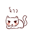 Lanna CAT（個別スタンプ：2）