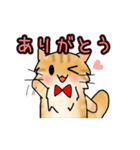 ふわふわ猫ちゃん（個別スタンプ：5）