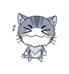 C-A-T : Silver Cat（個別スタンプ：7）