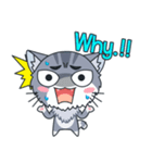 C-A-T : Silver Cat（個別スタンプ：19）