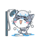 C-A-T : Silver Cat（個別スタンプ：23）